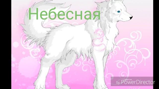 Друзья из ВО #4 смотреть онлайн