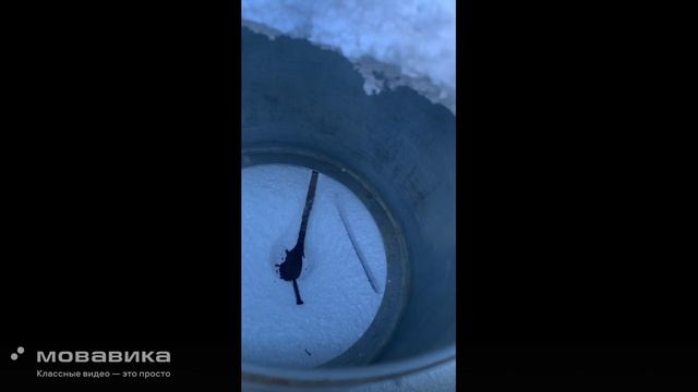 Залипательное видео