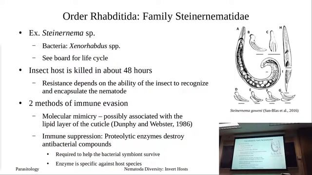 Nematodes: Invertebrate Hosts смотреть онлайн
