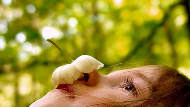 Lemongrass - Fairyland смотреть онлайн