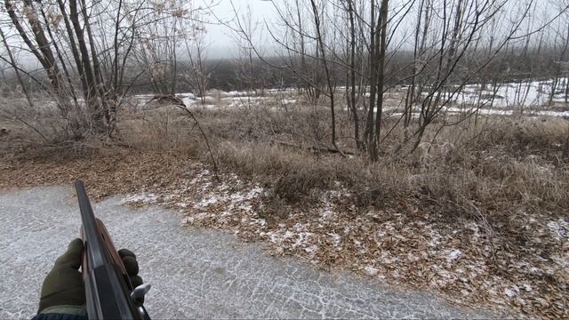 Охота на зайца. Зайцы сами прибегают. Hunting. смотреть онлайн