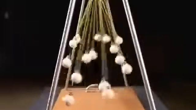 Интересные факты смотреть онлайн