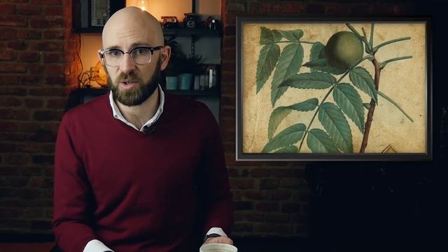 Ketchup or Catsup? смотреть онлайн