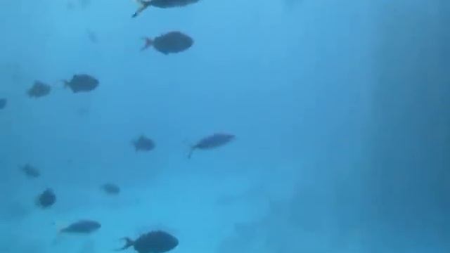 Море смотреть онлайн