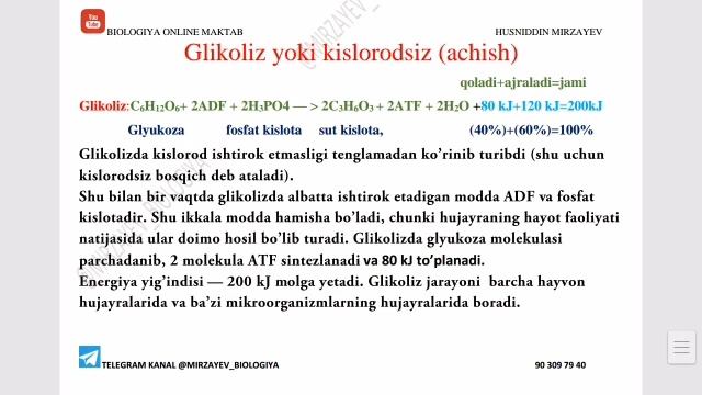 atf tuzilishi haqida смотреть онлайн