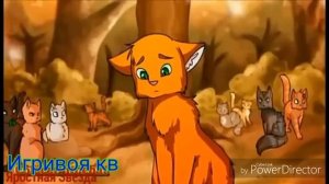 Бич и огнезвёзд (клип)