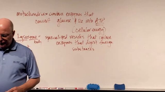 Professor Long 2401 L1.72, Cytology part 2 смотреть онлайн