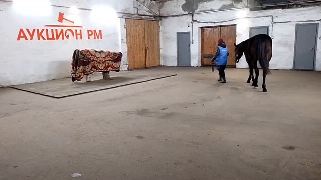 Molly Malone RM (к) (Brooklyn Hill - Molly Maura) 2022 смотреть онлайн