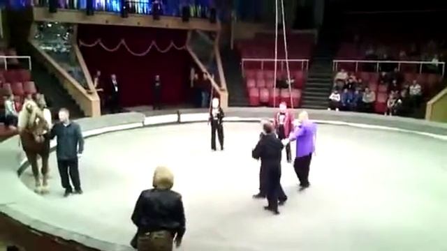Муж и жена в цирке смотреть онлайн