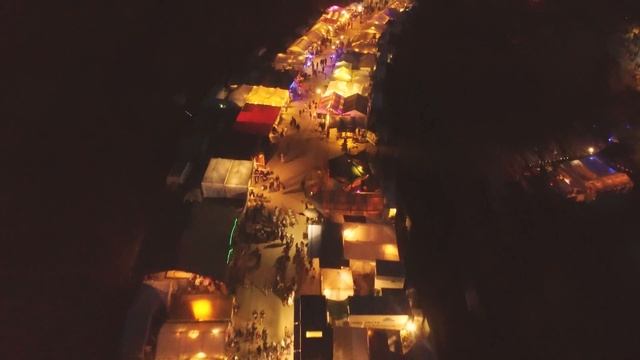 Djane Psynonima ⧸ Full Djset Ozora 2024