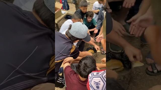 Поедание курдюка смотреть онлайн