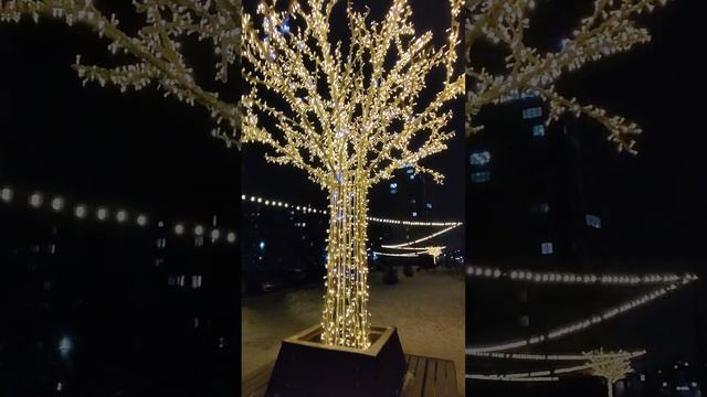 с наступающим новым 2025🎄 смотреть онлайн