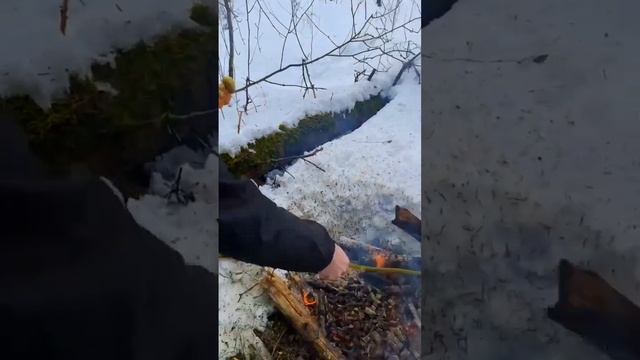 Креветки на костре смотреть онлайн