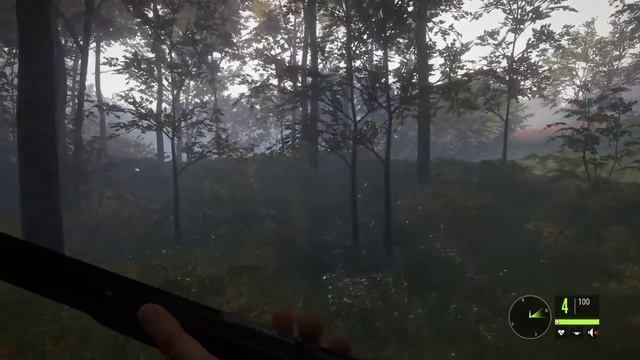 theHunter Call of the Wild Охотимся на лисицу. Выполняем квест смотреть онлайн