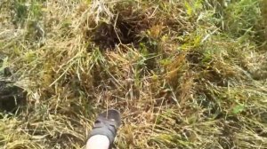 ВЫБРАЛИСЬ НА ПАРУ ЧАСИКОВ