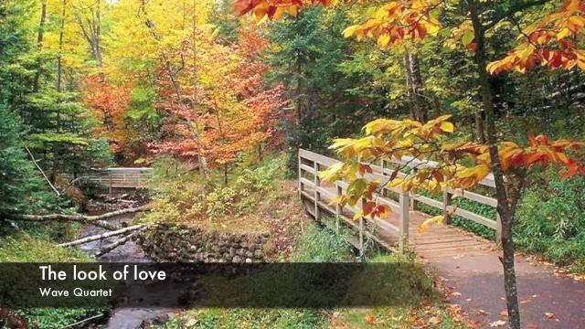 Wave Quartet - The Look Of Love