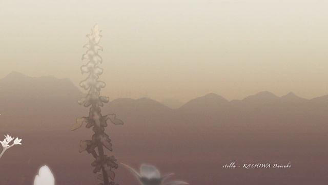 KASHIWA Daisuke - stella смотреть онлайн