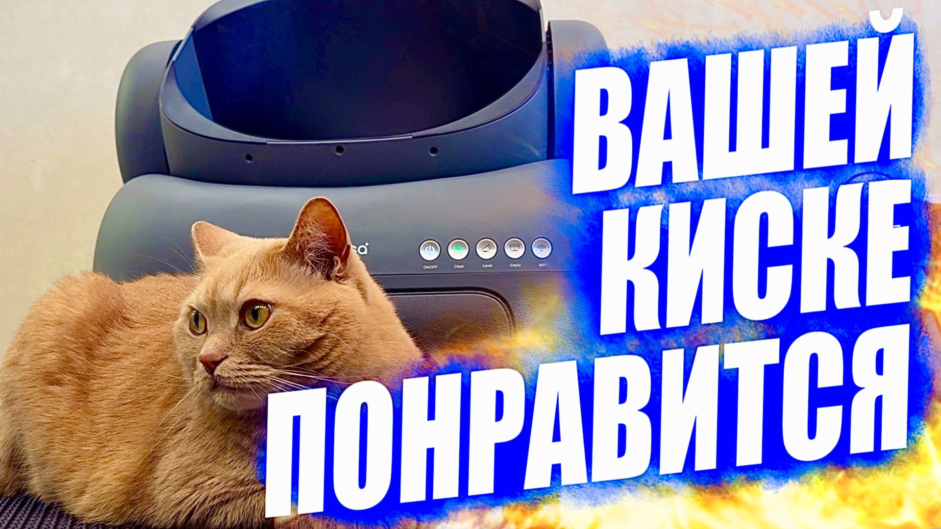 Новинка! Умные технологии для котиков. Тестирую автоматический кошачий туалет-лоток Neakasa M1 смотреть онлайн