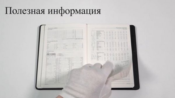 Видеообзор ежедневника Bruno Visconti Magnet арт.: 3-226