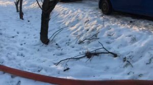 Будни ассенизатора! МАЗ в ремонте, делаем его работу)))