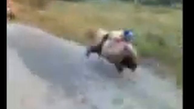 Бараны :) смотреть онлайн