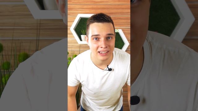 Новинка Brit Premium: паучи для собак в ароматном соусе смотреть онлайн