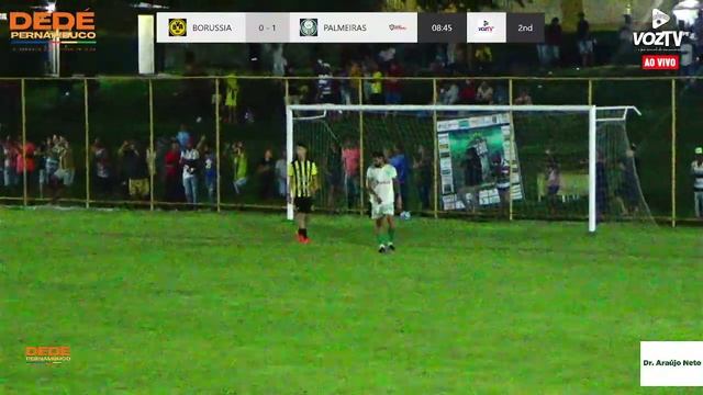 BORUSSIA X PALMEIRAS | FINAL | 1º CAMPEONATO REGIONAL DE FUTEBOL AMADOR - 28/04/2024 смотреть онлайн