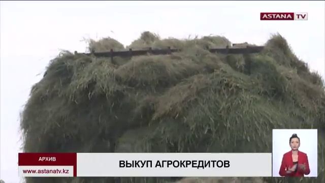 Правительство и Нацбанк выкупят у Цеснабанка агрокредиты на 450 млрд.тенге смотреть онлайн