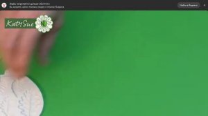 Путеводитель по осенней сахарной листве  Китайский фонарь и Космос, Часть 1