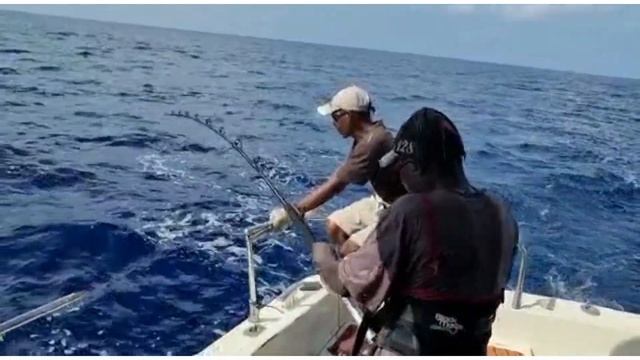 KENYA - BLUE MARLIN 320lb FIGHT - MOMBASA смотреть онлайн