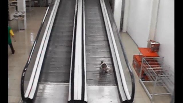 траволатор смотреть онлайн