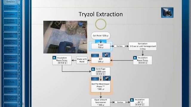 Ion torrent asistant program смотреть онлайн