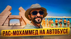 «Расс Мохаммед» на автобусе  Экскурсии в Шарм Эль Шейхе, Египет