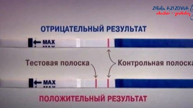 HOMILADORLIK TESTI смотреть онлайн