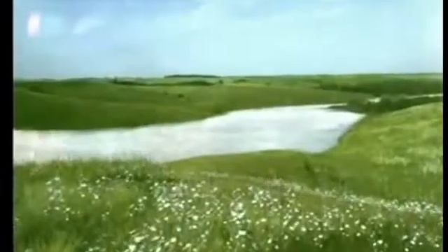 Чистая Линия смотреть онлайн