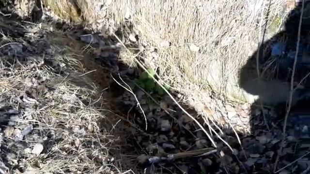 Заброшенная воинская часть [2] смотреть онлайн