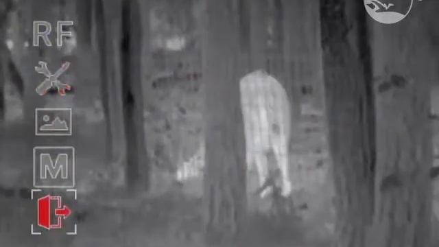 NITEHOG TIR-M35 Chameleon Menüfunktion - Sprache wechseln смотреть онлайн