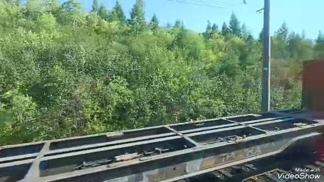 Садриддин Начмиддин Гариби 2024/ Sadriddin Najmiddin Gharibi 2024