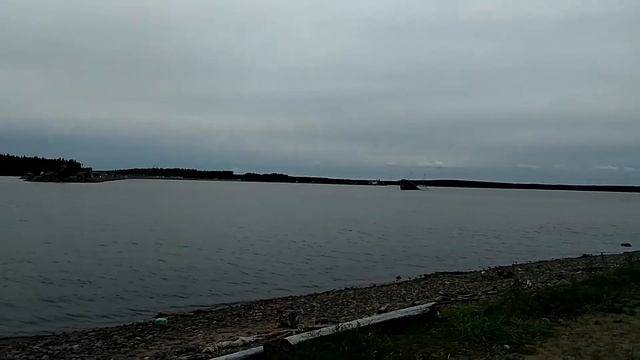 Большой Бор. Строительство СПГ. Вырубка леса на островах. Где природоохранная прокуратура? смотреть онлайн