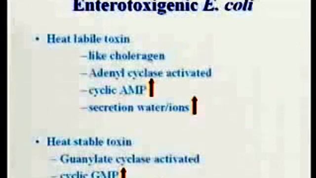 2.17. Enterobacteriaceae-I - Medical Microbiology смотреть онлайн