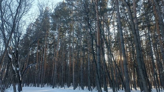 ❄️СПЕЦИАЛЬНЫЙ 36 ВЫПУСК СНТ "ДУБОВАЯ РОЩА" УФА LIVE! СОСТОЯНИЕ ДОРОГИ В НАШЕ СНТ! смотреть онлайн