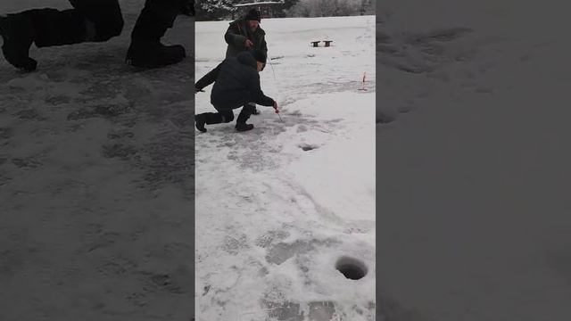 поимка форели смотреть онлайн