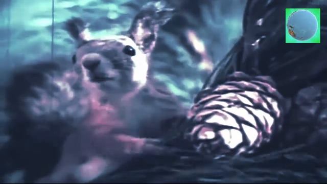 Это интересно молния,лесные пожары, фейерверки, салюты смотреть онлайн