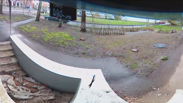 Под окном 2021 май 02 - 04 собаки и кошаки смотреть онлайн