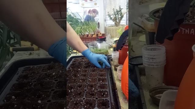 22 марта 2024 г. смотреть онлайн