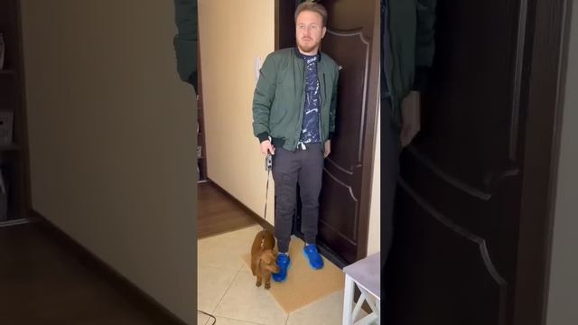 Лучше сидеть с собакой чем с ребёнком🙌🏻 #топ #рофл #собаки #жиза #жизнь #семья #ребенок #реки
