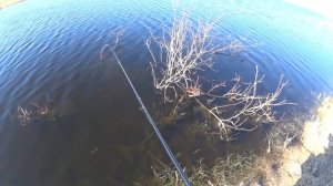 Ловля ротана на боковой кивок и тёлка № 53