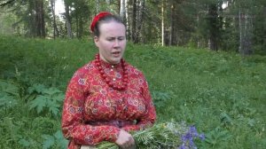 София Горбунова. Кари глазки