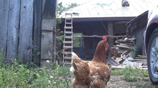 Как строили вальмовую крышу из металлочерепицы смотреть онлайн