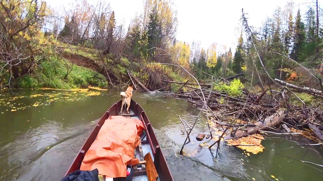 Идём на лодке по таёжной реке. Выдержал бы лодочный мотор 1 серия смотреть онлайн